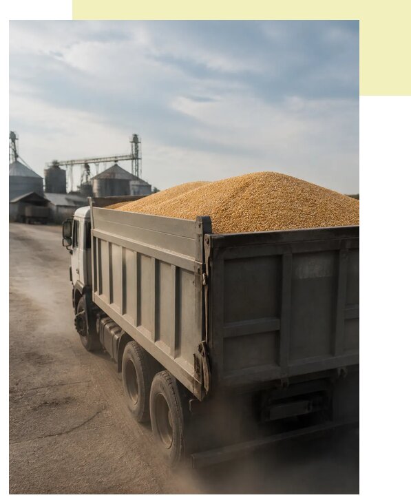 Перевозка сельхозпродукции навалом в Азнакаево по цене от 3079 р. | Агросервис-Знк
